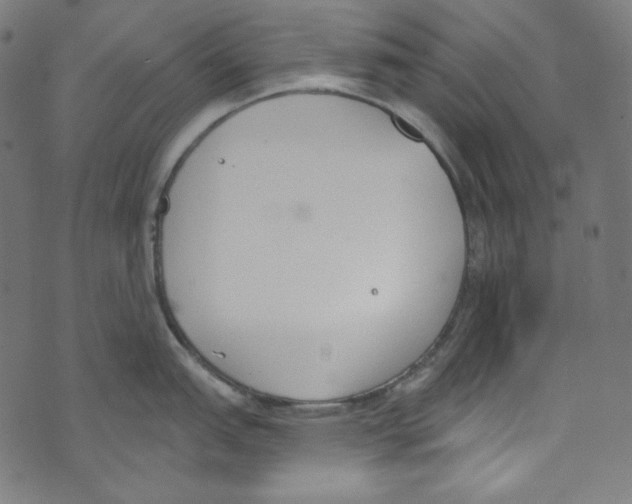 X0000073971151200609181445