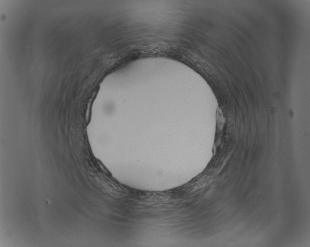 X0000073971153200609181444