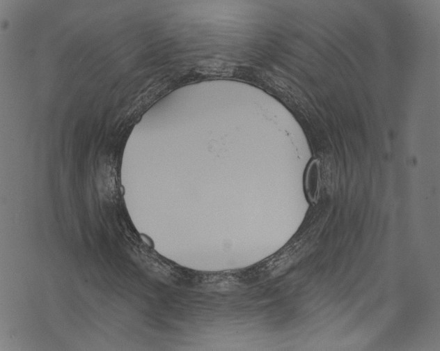 X0000073971154200609181444