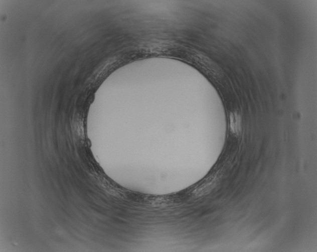 X0000073971155200609181444