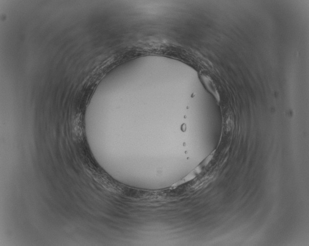 X0000073971156200609181444