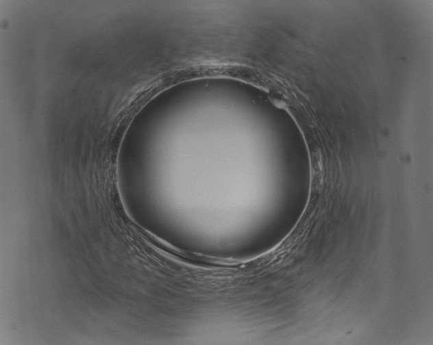 X0000073971157200609181444