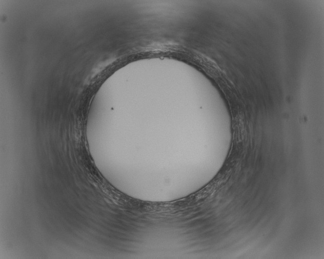 X0000073971158200609181444