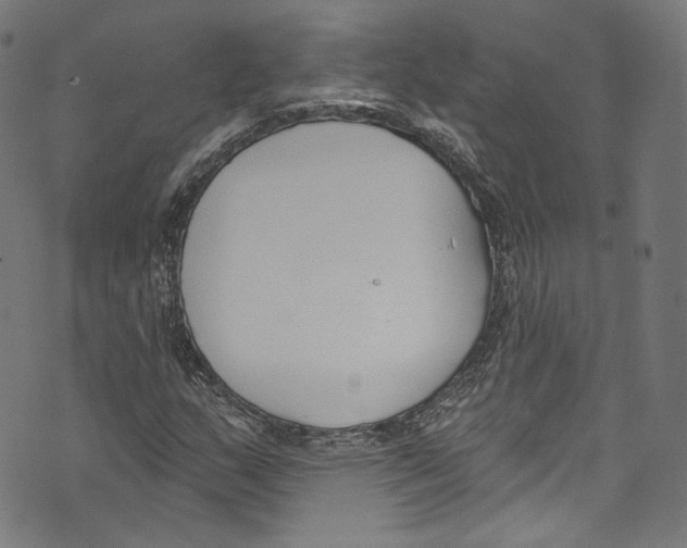 X0000073971159200609181444