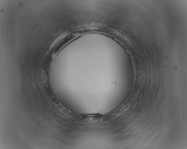 X0000073971160200609181444