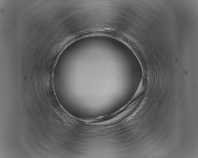 X0000073971161200609181444