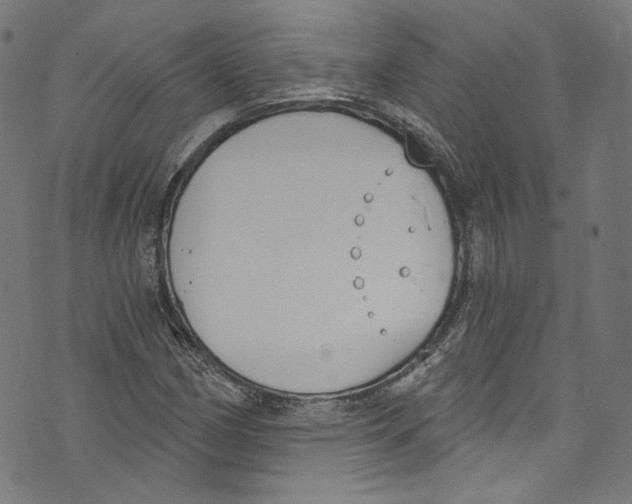 X0000073971162200609181444