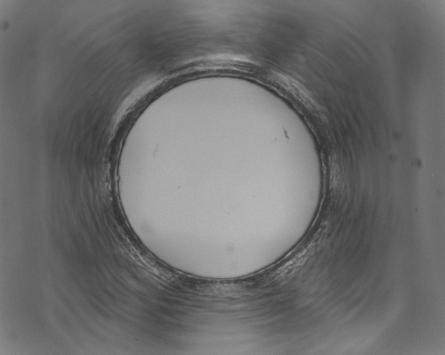 X0000073971164200609181444