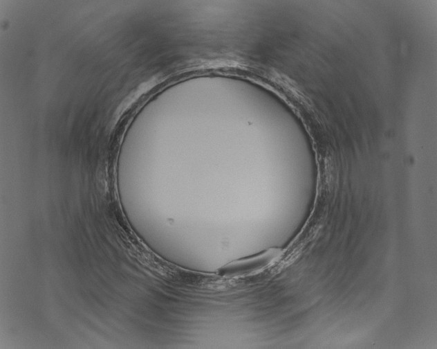 X0000073971165200609181444