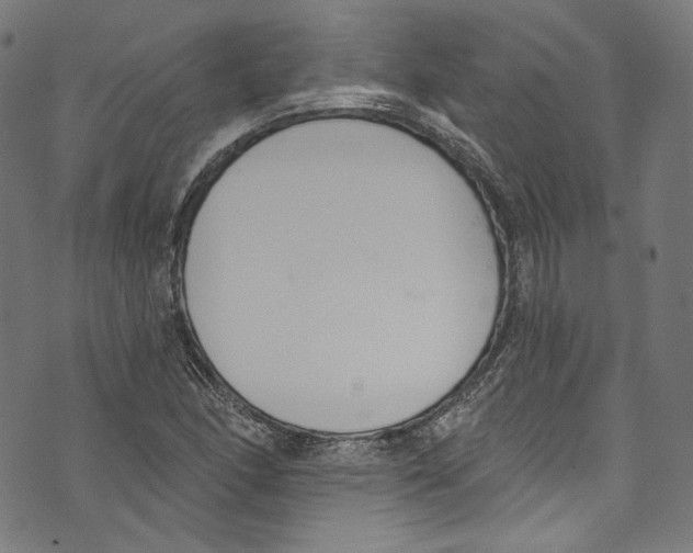 X0000073971166200609181444