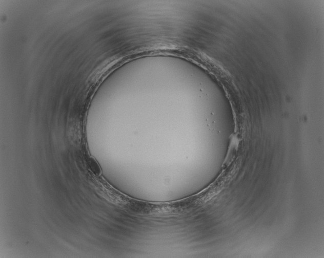 X0000073971169200609181444