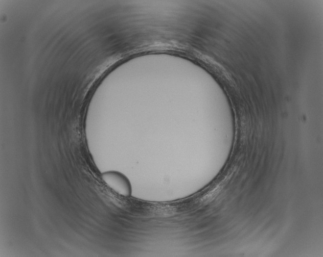 X0000073971170200609181444