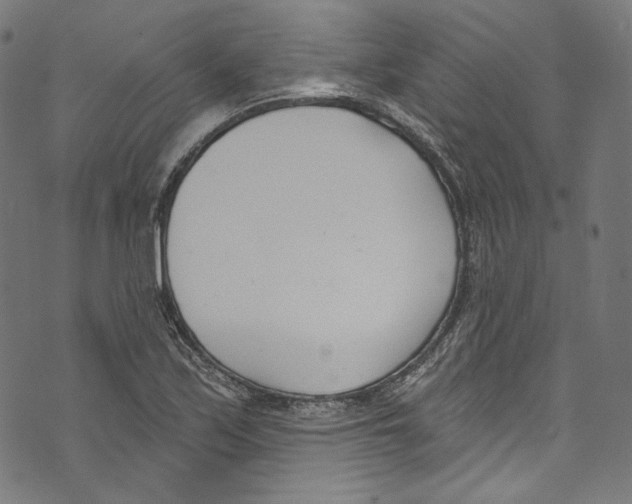 X0000073971171200609181444