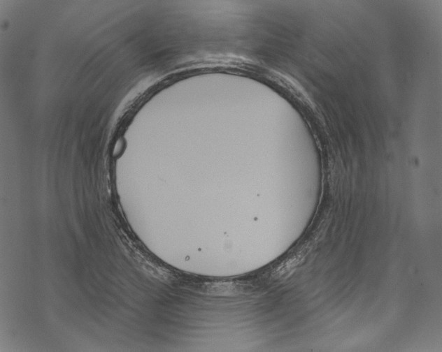 X0000073971172200609181444