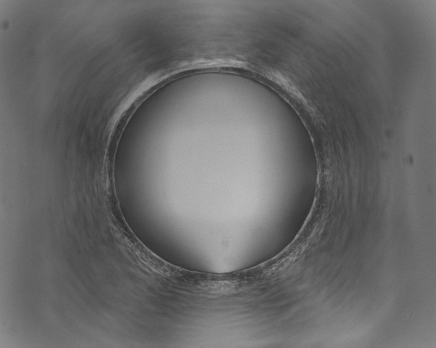 X0000073971173200609181444