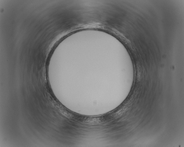 X0000073971174200609181444