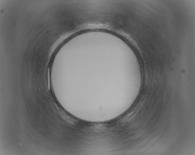 X0000073971175200609181444