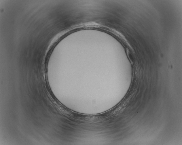 X0000073971176200609181444