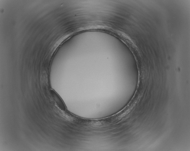 X0000073971177200609181444