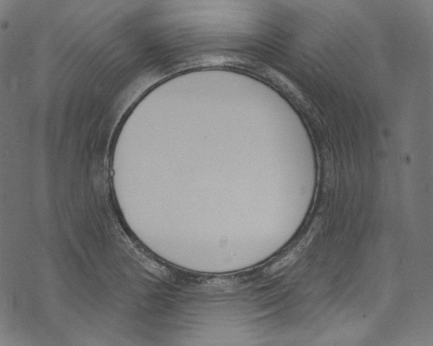 X0000073971178200609181444