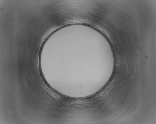 X0000073971179200609181444