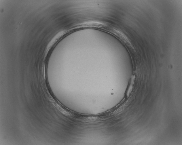 X0000073971180200609181444