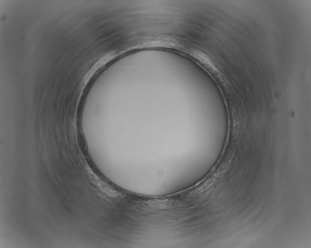 X0000073971181200609181444