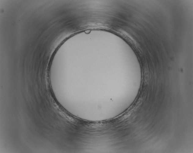 X0000073971182200609181444