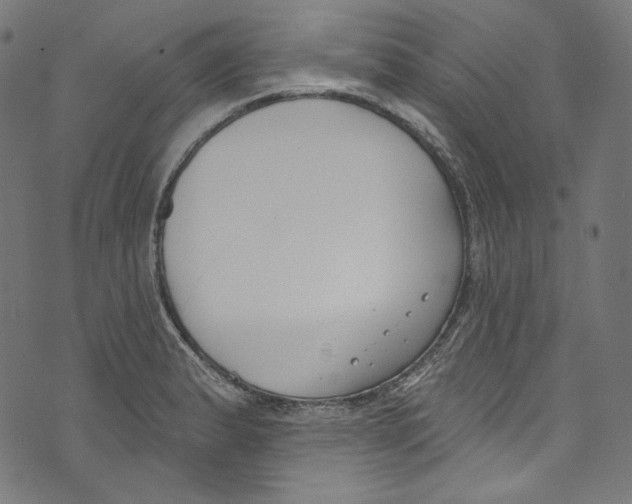 X0000073971183200609181444