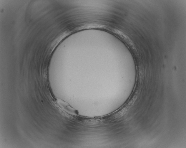 X0000073971185200609181444