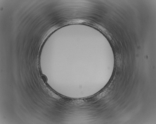 X0000073971186200609181444