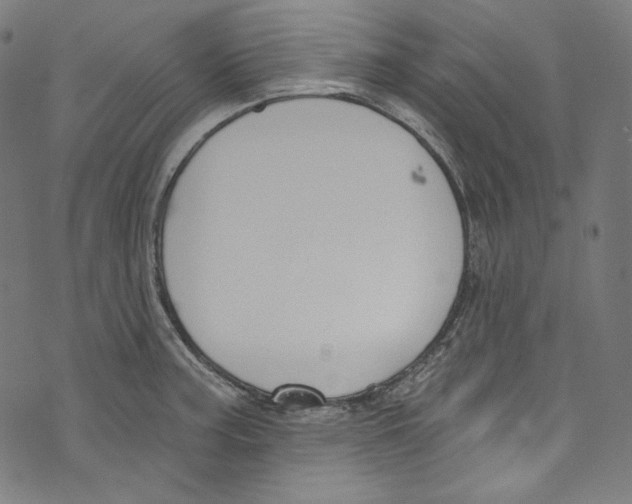 X0000073971187200609181444