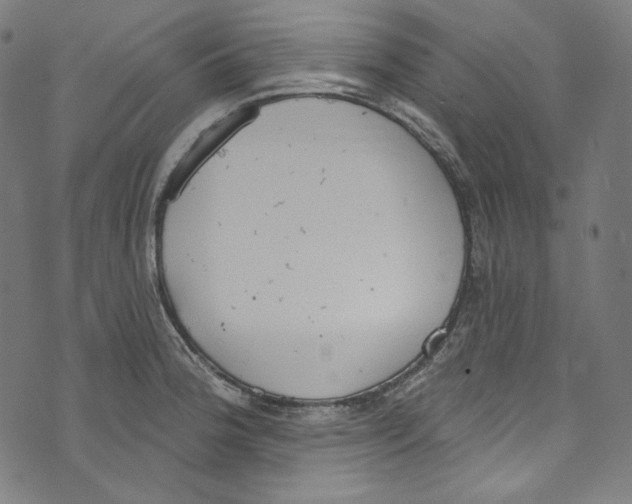 X0000073971188200609181444