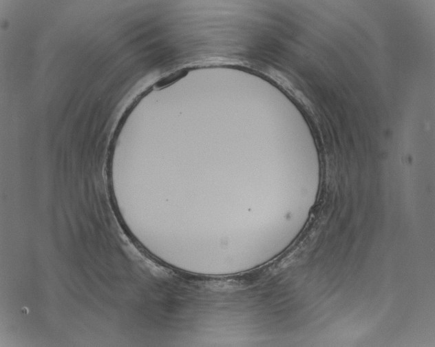 X0000073971189200609181444