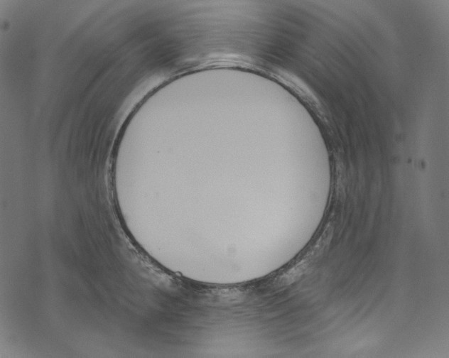 X0000073971190200609181444