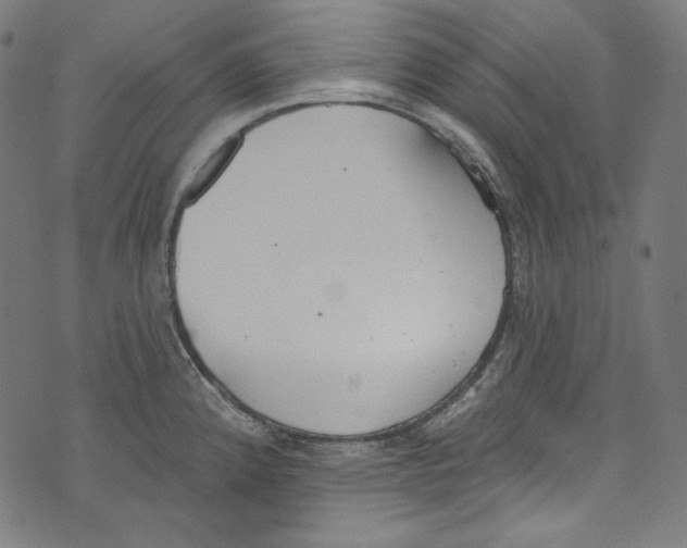 X0000073971192200609181443