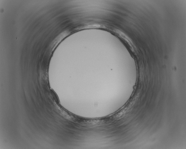 X0000073971193200609181443