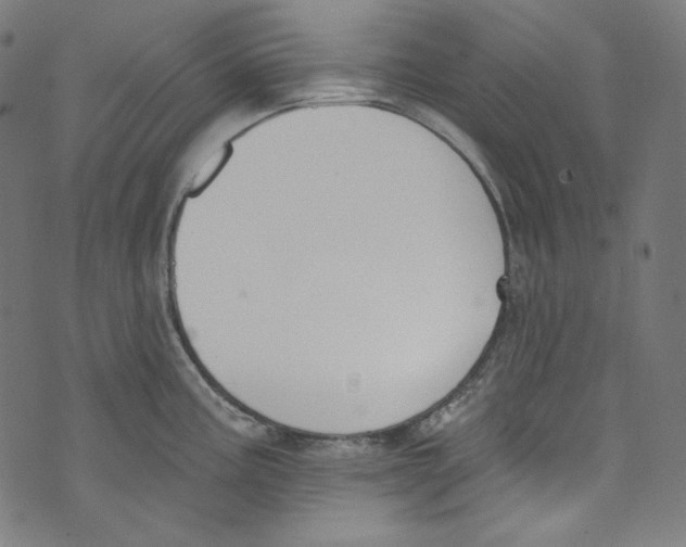 X0000073971195200609181443