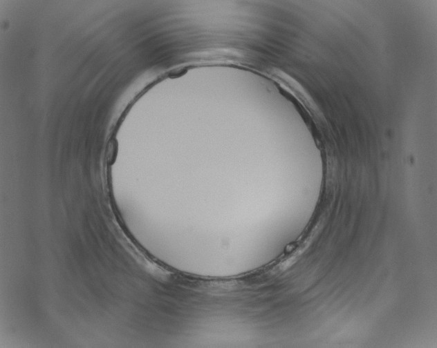 X0000073971196200609181443