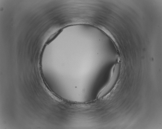 X0000073971197200609181443