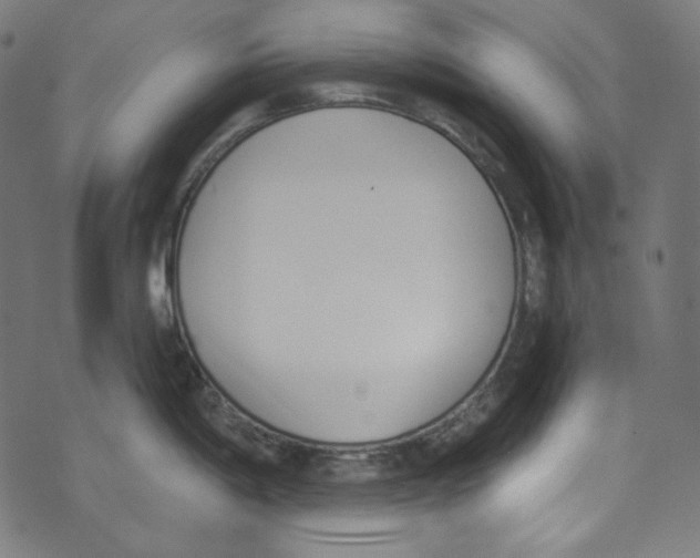 X0000073971198200609181443