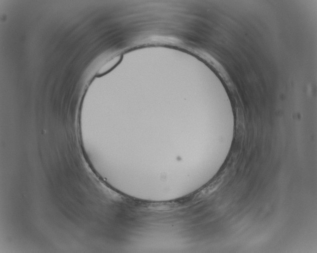 X0000073971199200609181443