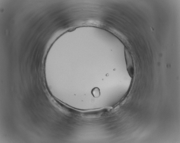 X0000073971200200609181443