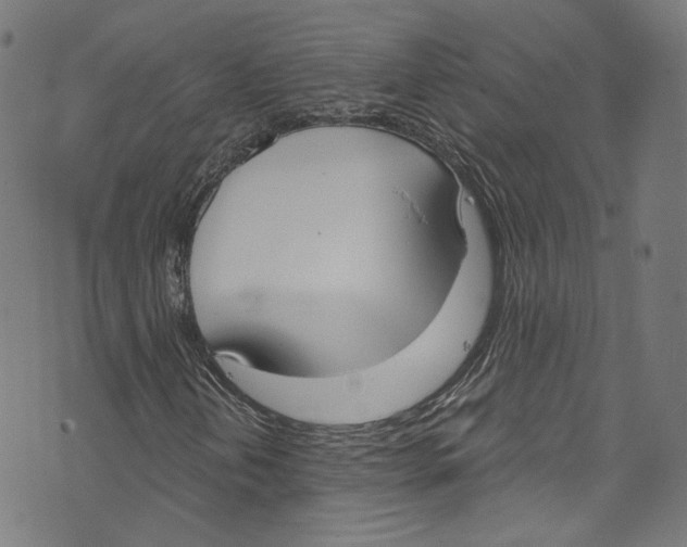 X0000073971202200609181443