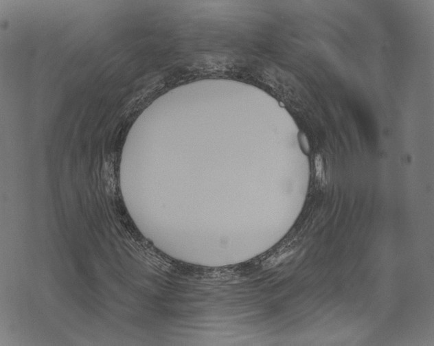 X0000073971203200609181443