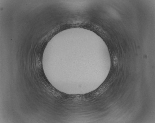 X0000073971204200609181443