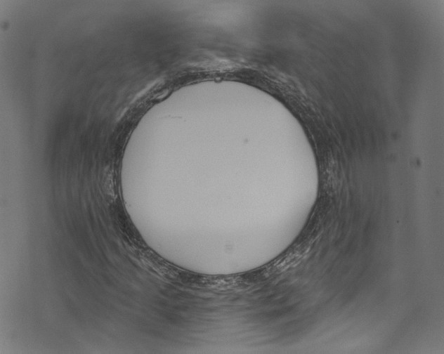 X0000073971205200609181443