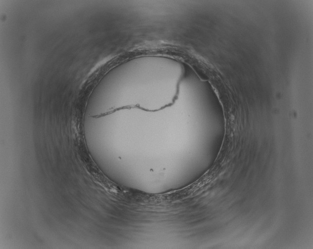 X0000073971206200609181443