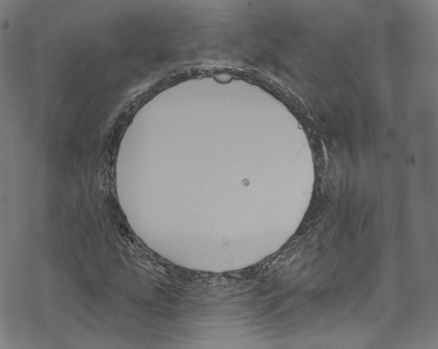 X0000073971207200609181443