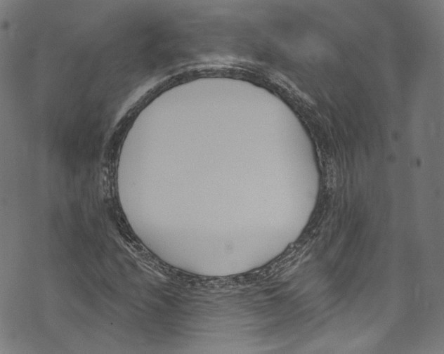 X0000073971208200609181443